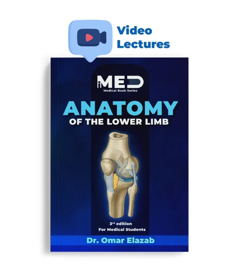 غلاف Lower Limb Anatomy Book من iMed – تشريح الطرف السفلي