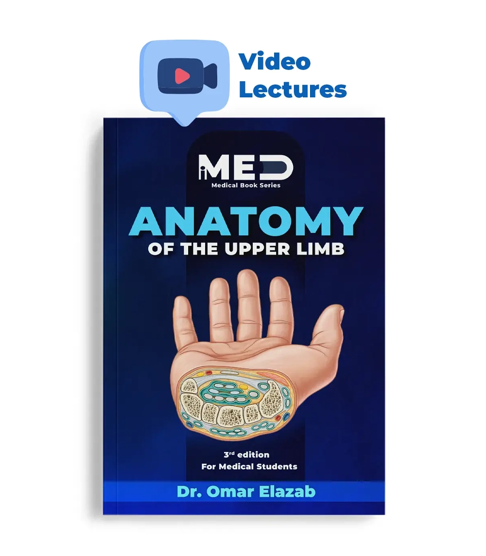 Anatomy of the Upper Limb - iMed